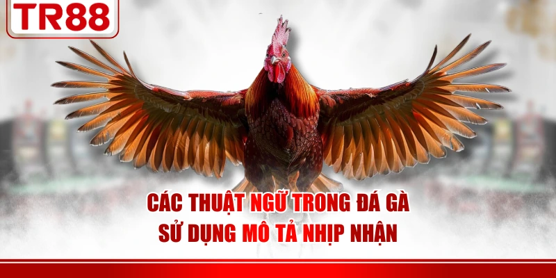 Các thuật ngữ trong đá gà sử dụng mô tả nhịp nhận